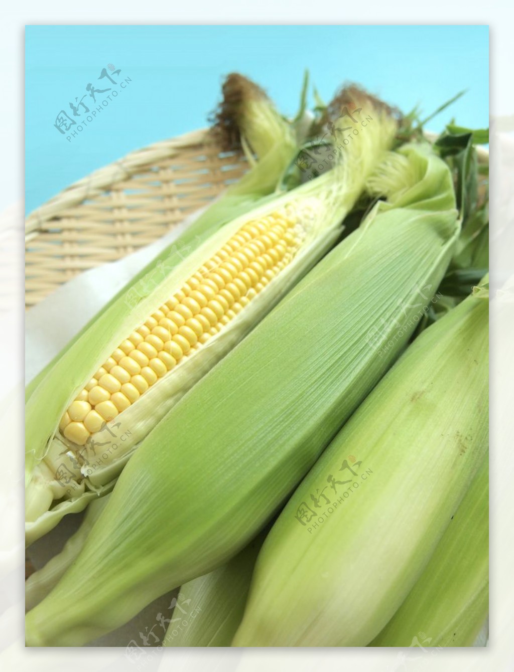 新鲜的玉米