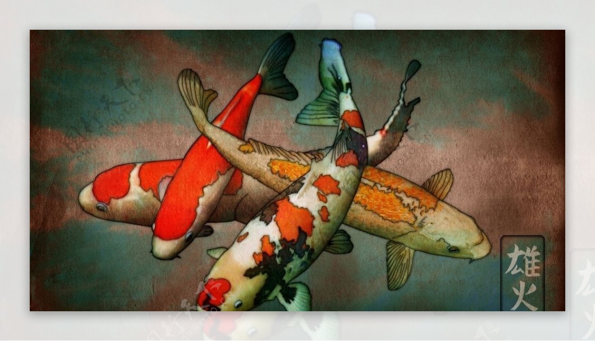 锦鲤插画彩色鱼类背景