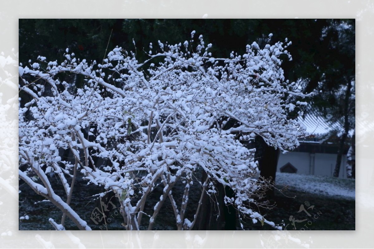 冬日初雪