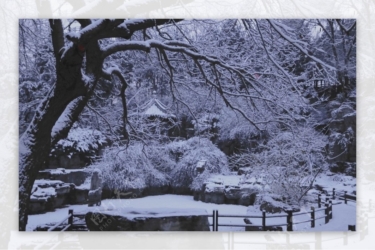 冬日初雪