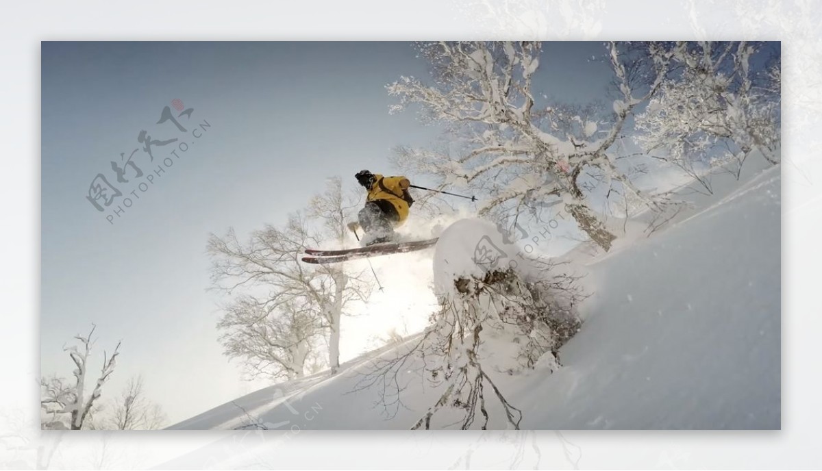 滑雪运动大雪树木背景