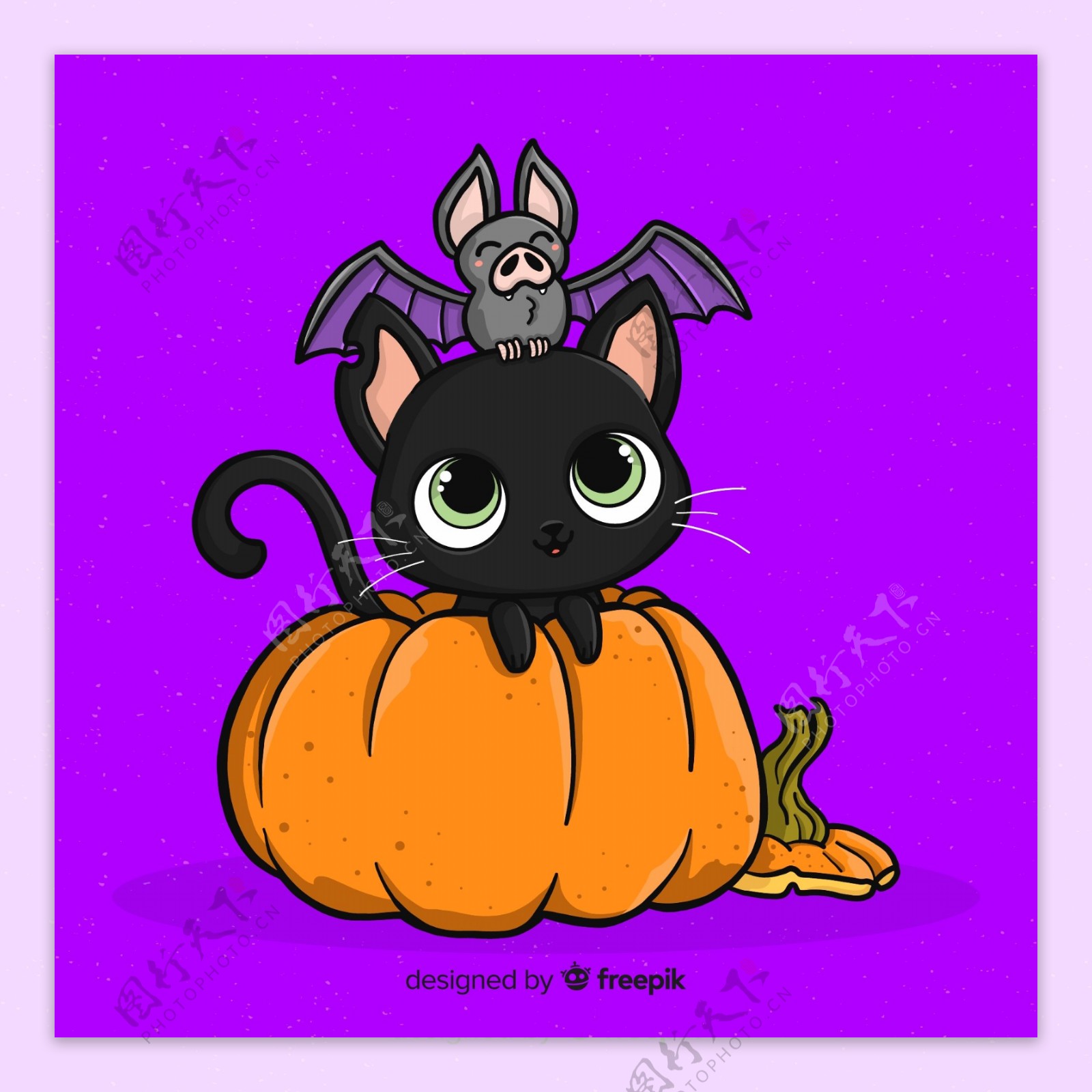 可爱万圣节南瓜上的黑猫和蝙蝠
