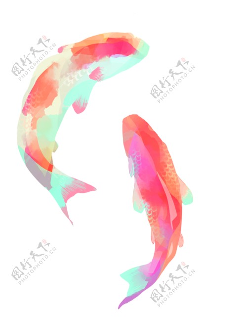 彩色鱼图