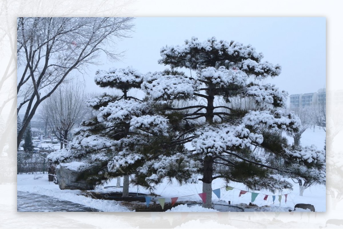 冬日雪景