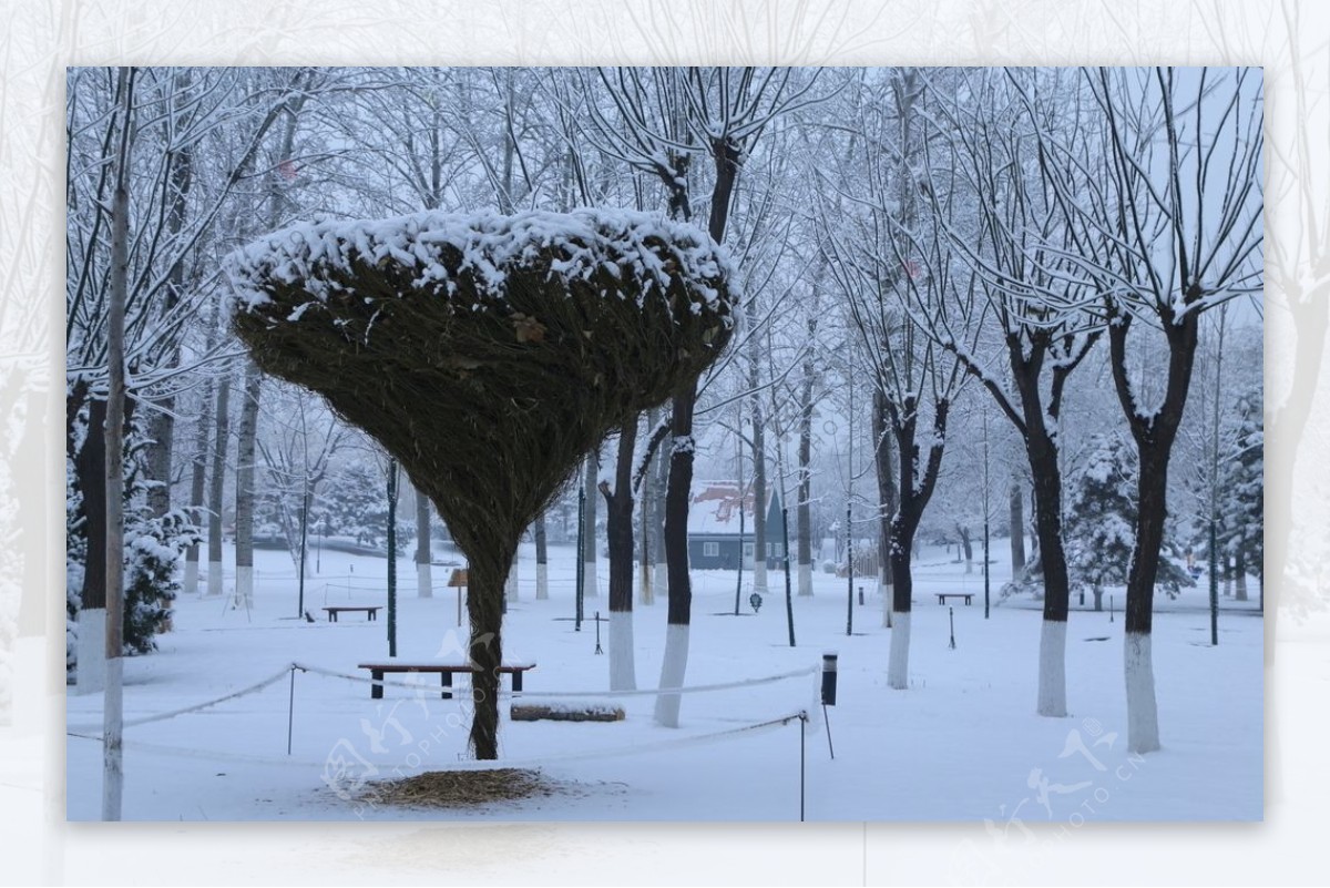 冬雪地景