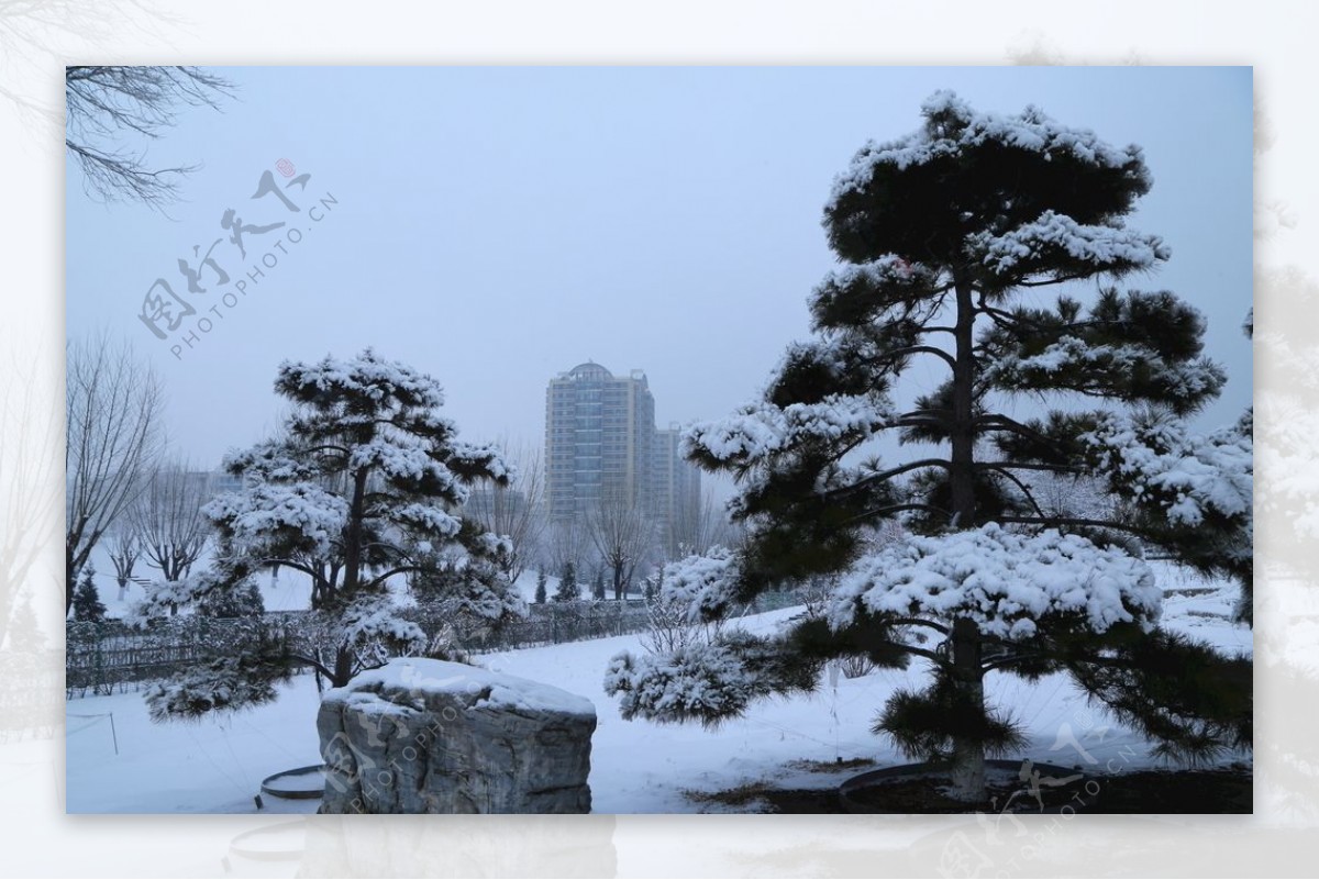 冬日雪景