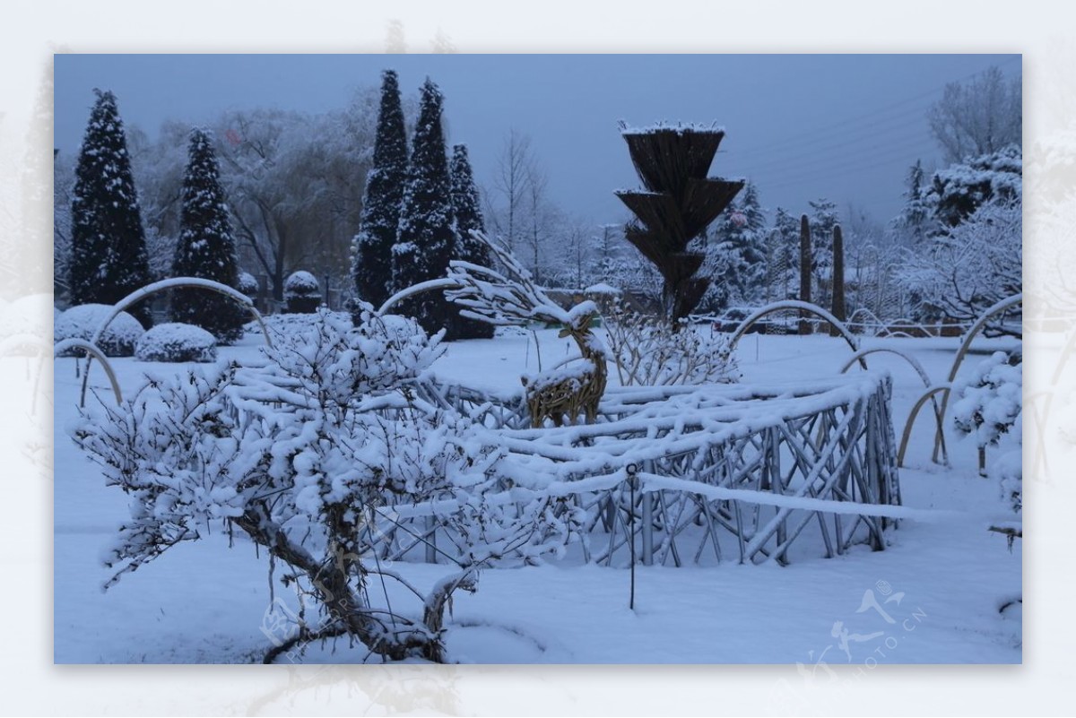 冬雪地景