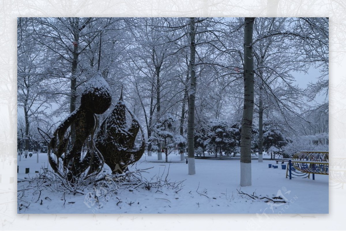 冬雪地景