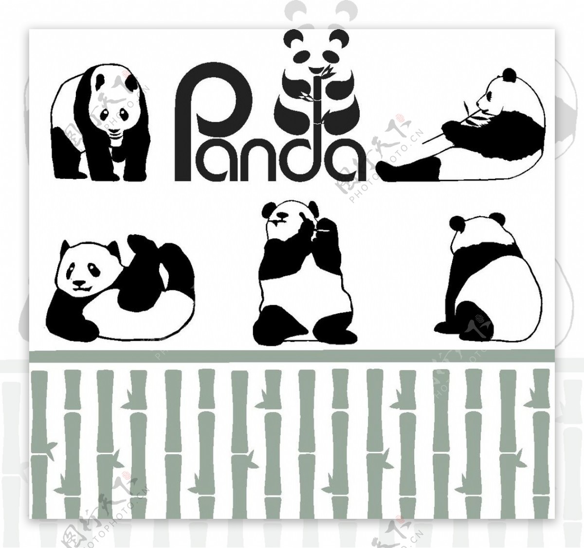 熊猫竹子矢量图