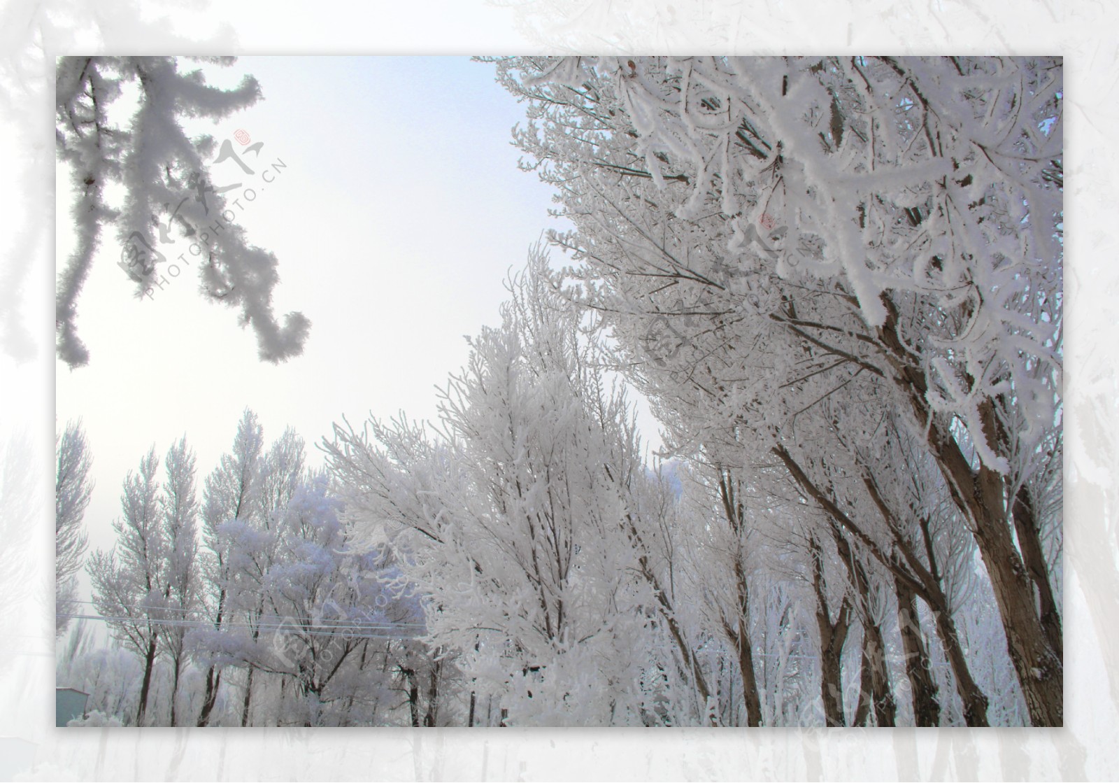 雪景