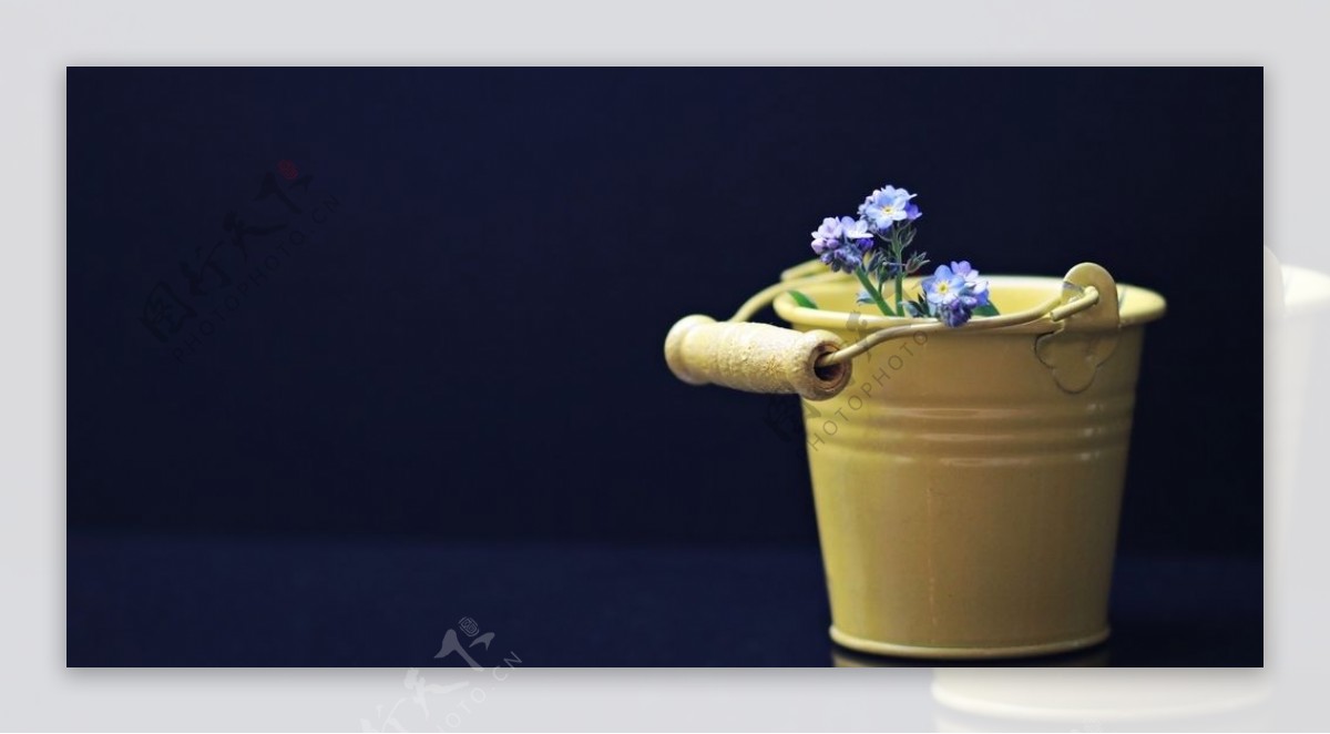 桶子里的蓝色小花