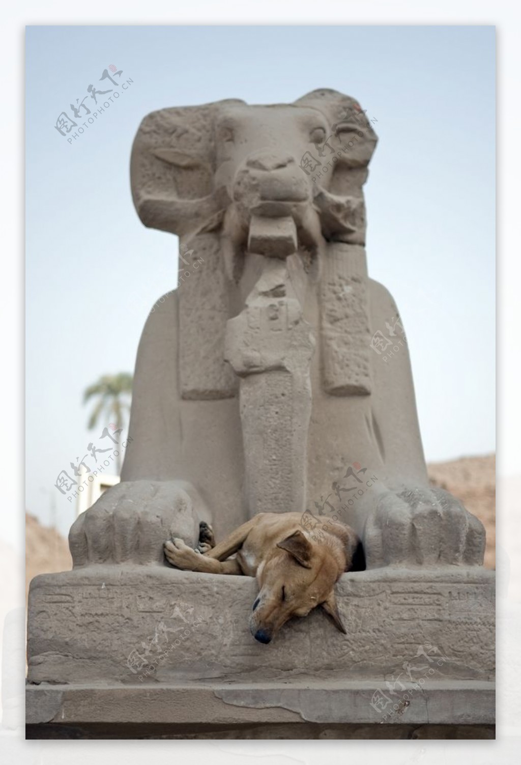 埃及阿斯旺旅游景观摄影