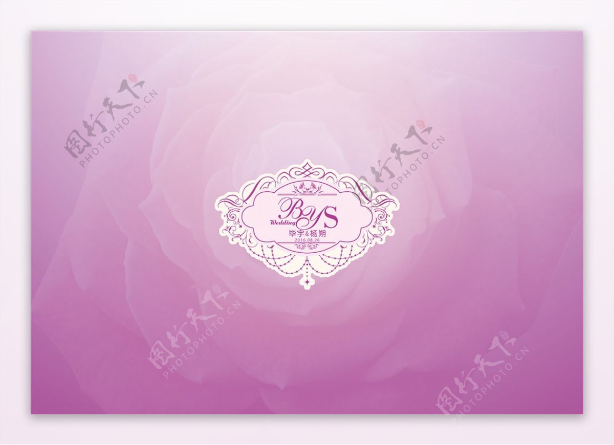 紫色花背景logo