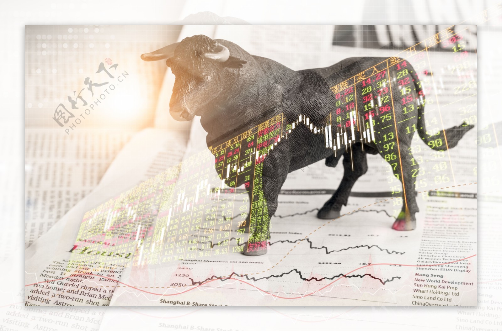 金融牛市股票升值