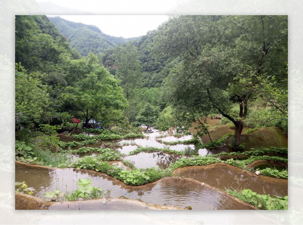 梯田风景