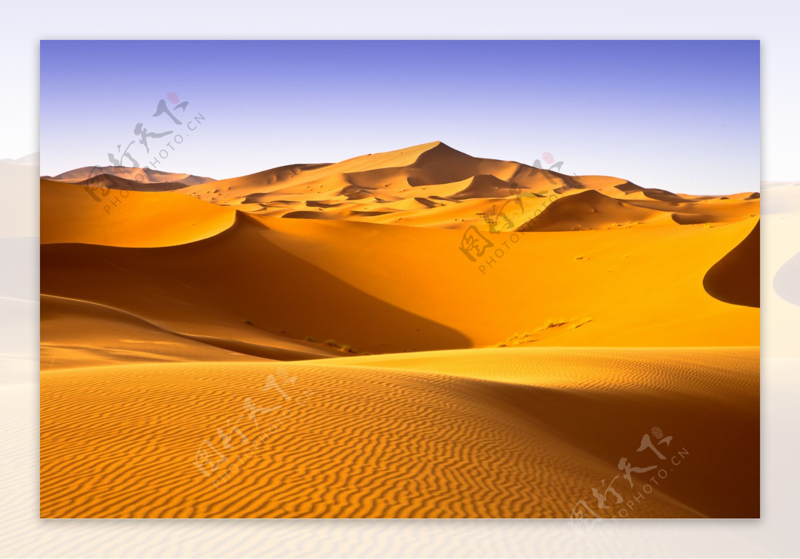 沙漠戈壁荒野