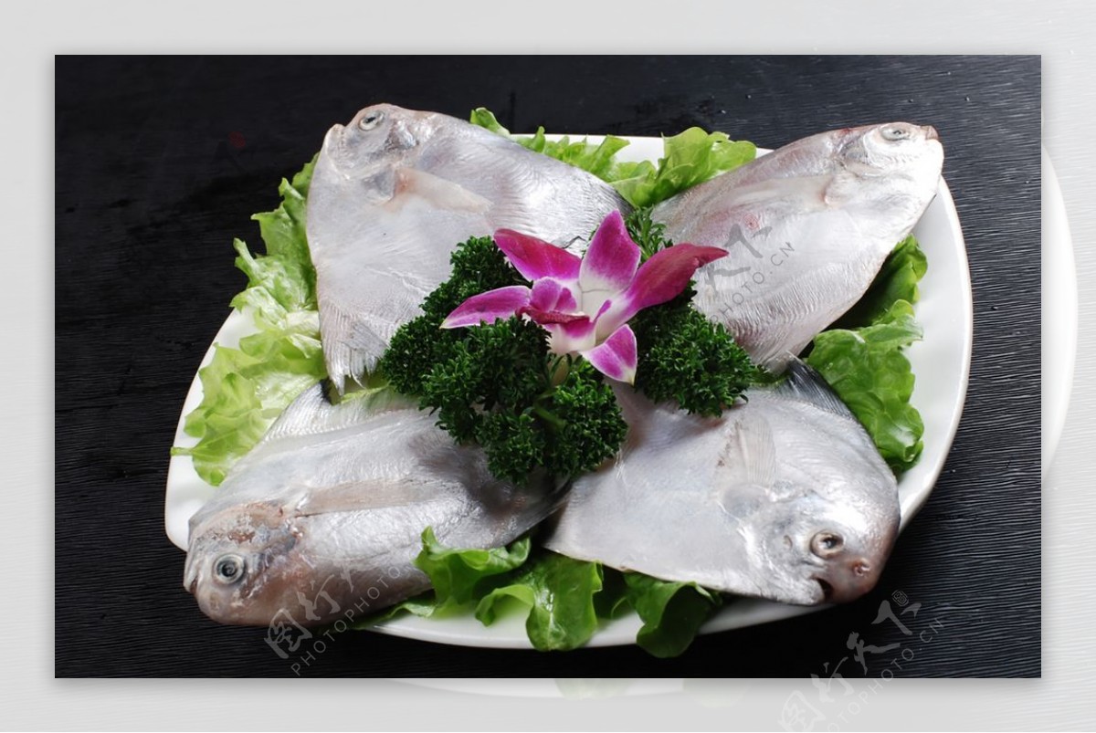 高清海鲜餐饮美食摄影