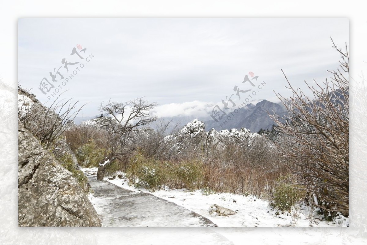 高山残雪