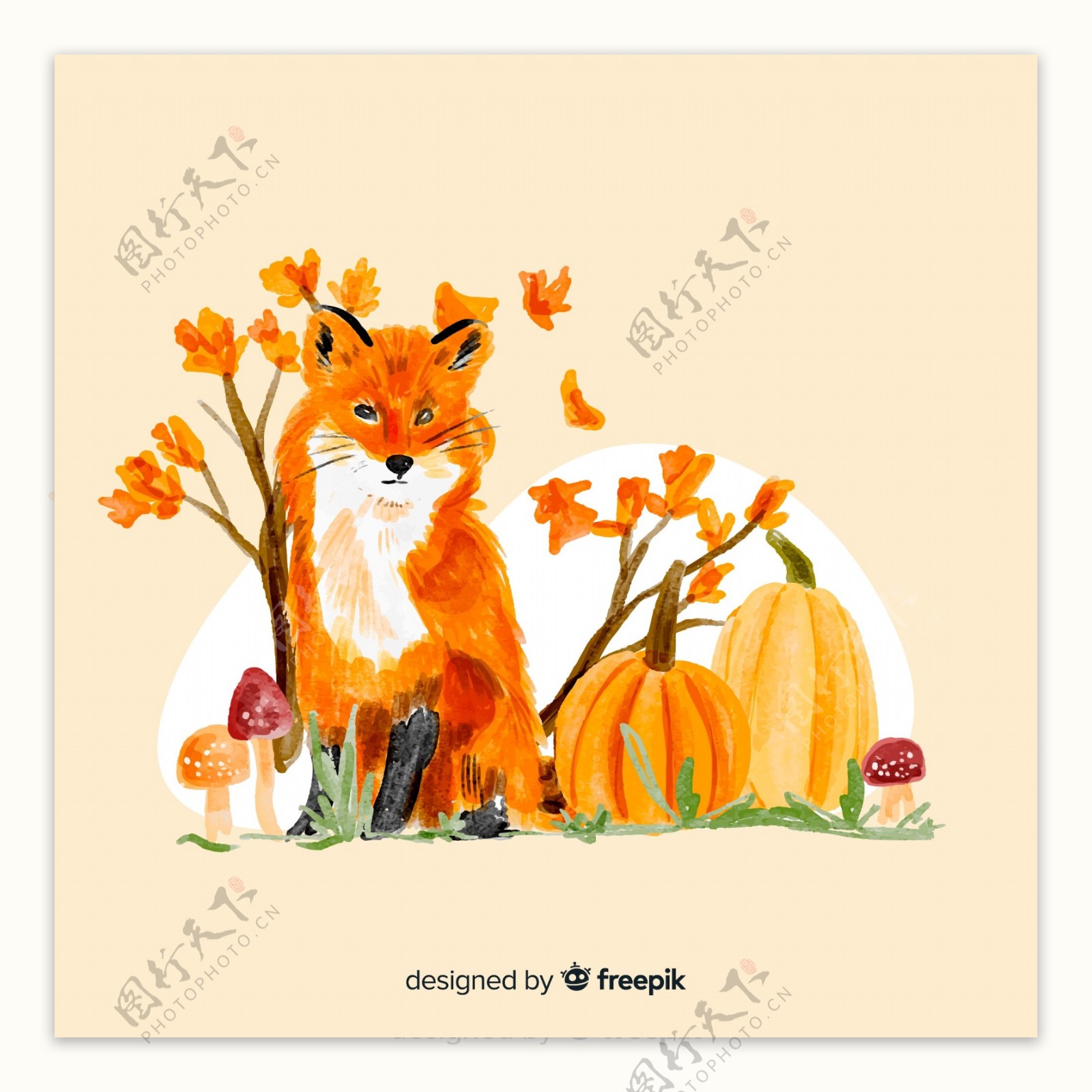 水彩绘秋季狐狸和南瓜