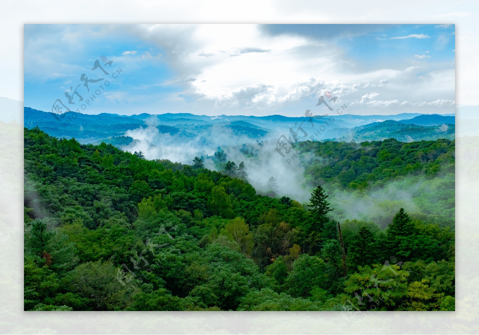 野山