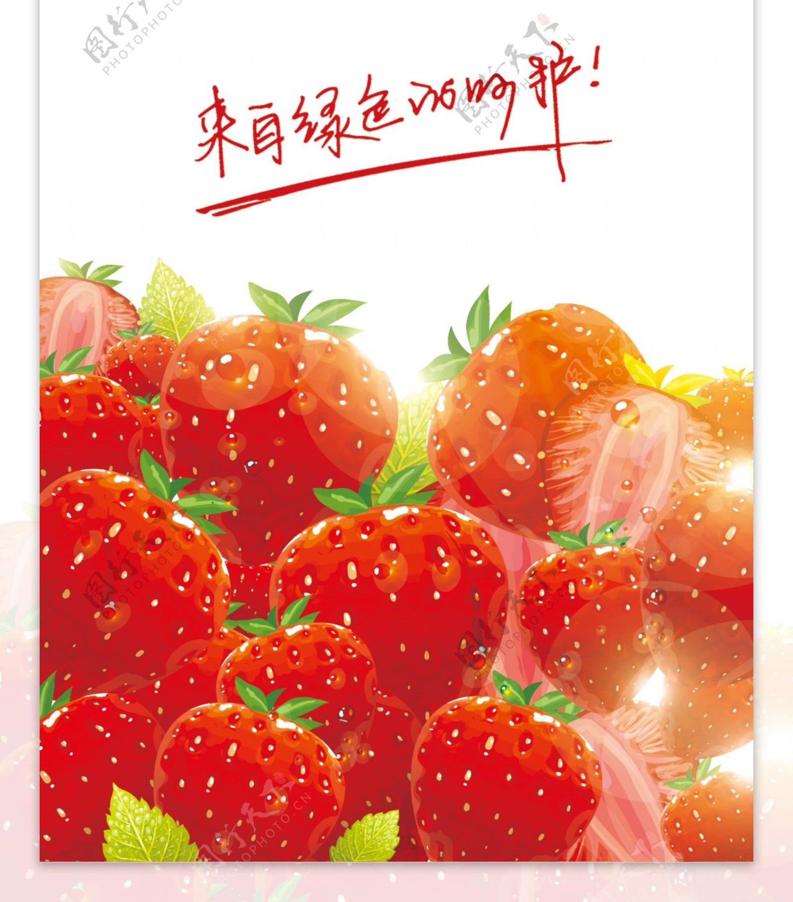 草莓标贴