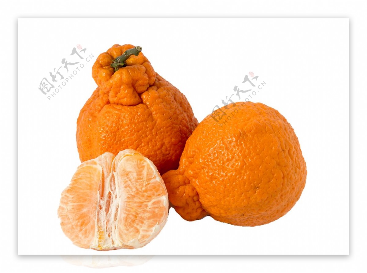 丑橘免扣素材