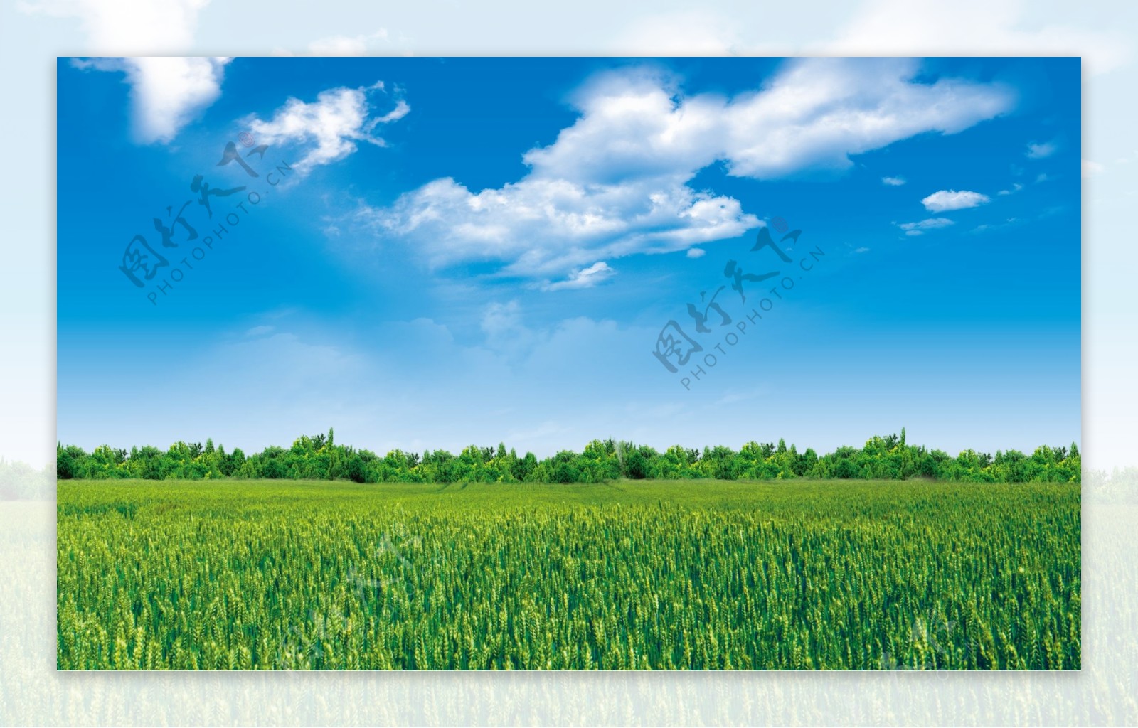 蓝天白云绿草背景