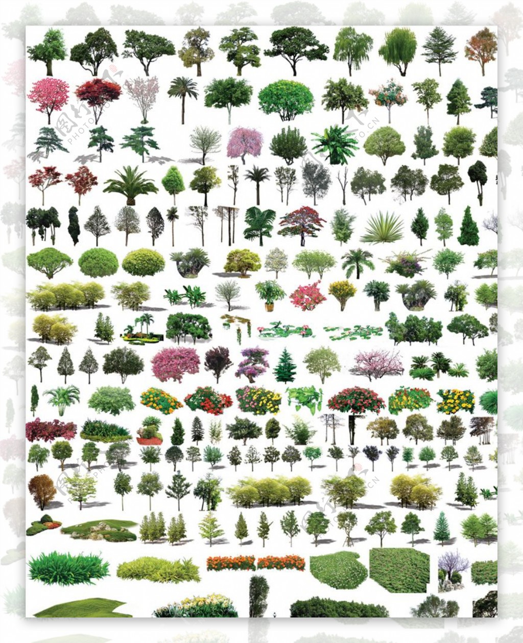 景观设计树木素材