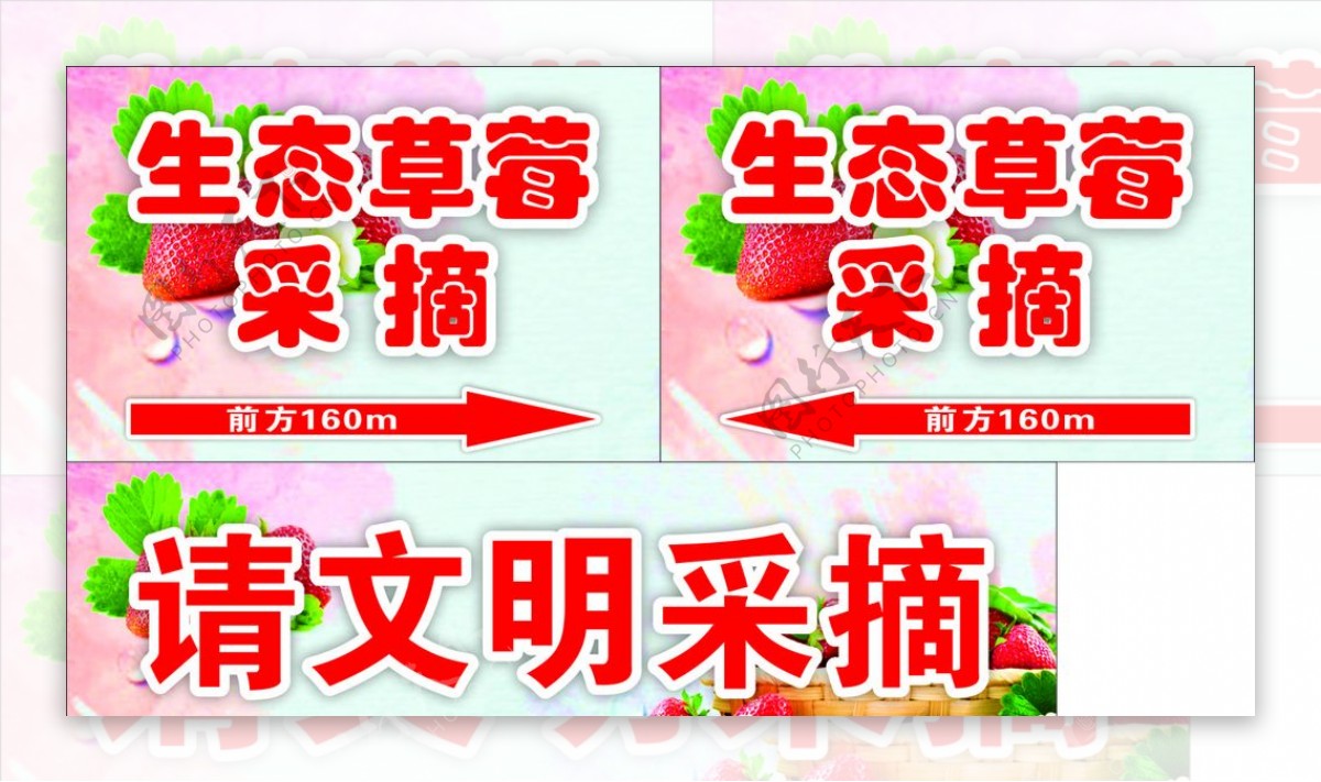摘草莓摘草莓海报草莓广告