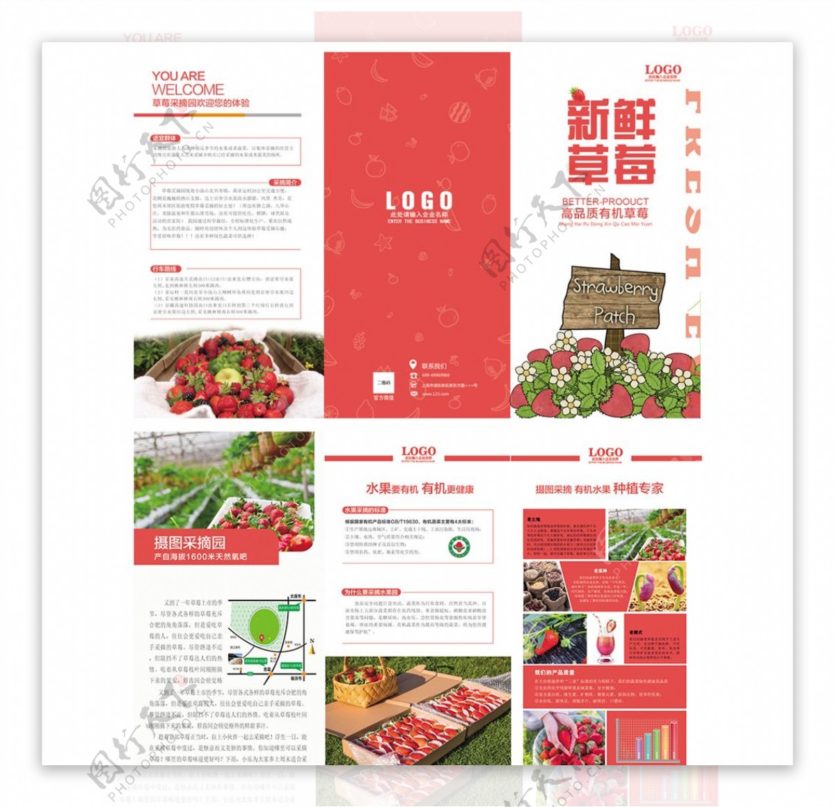 草莓水果园折页传单