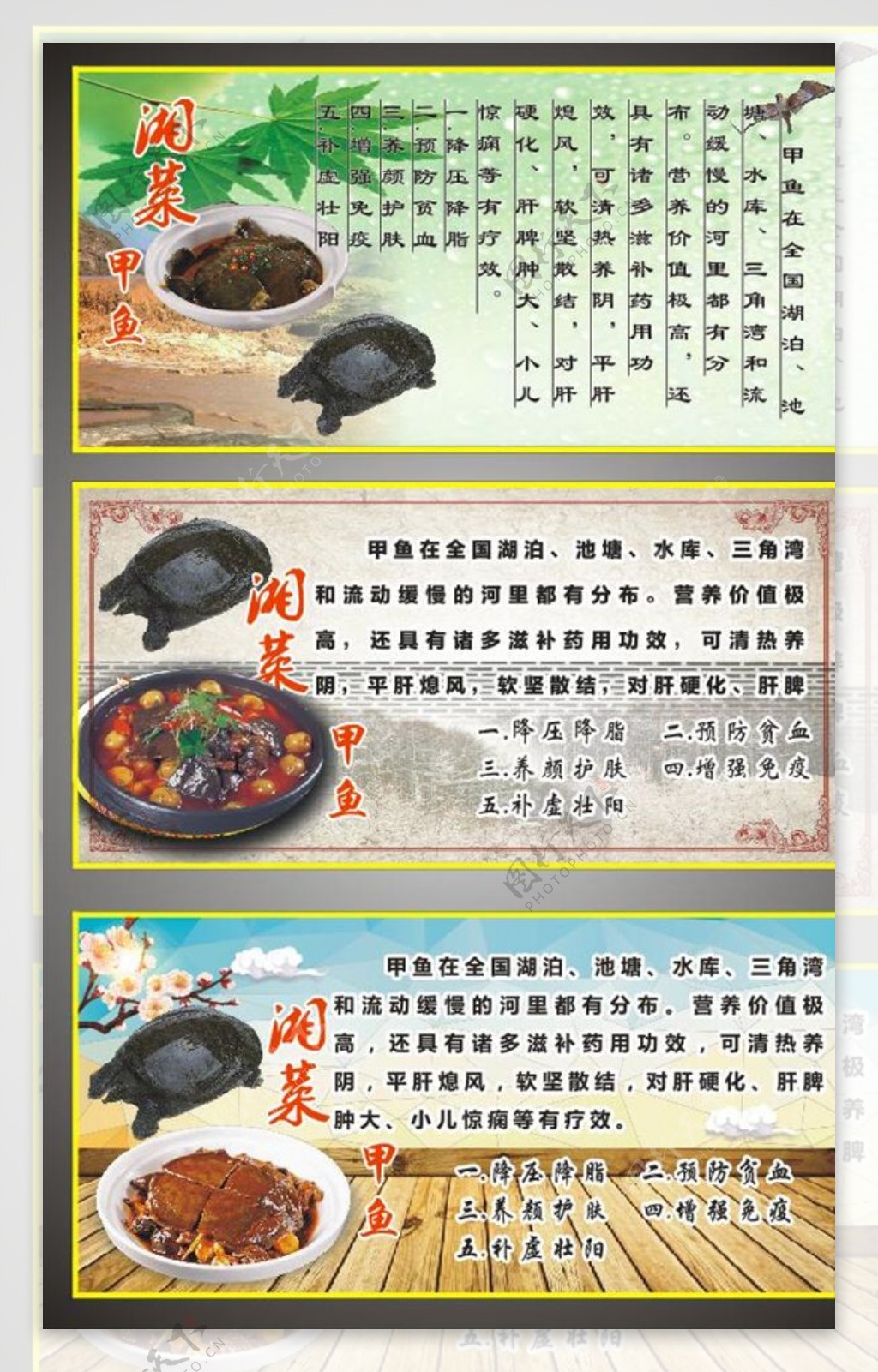 湘菜甲鱼广告图