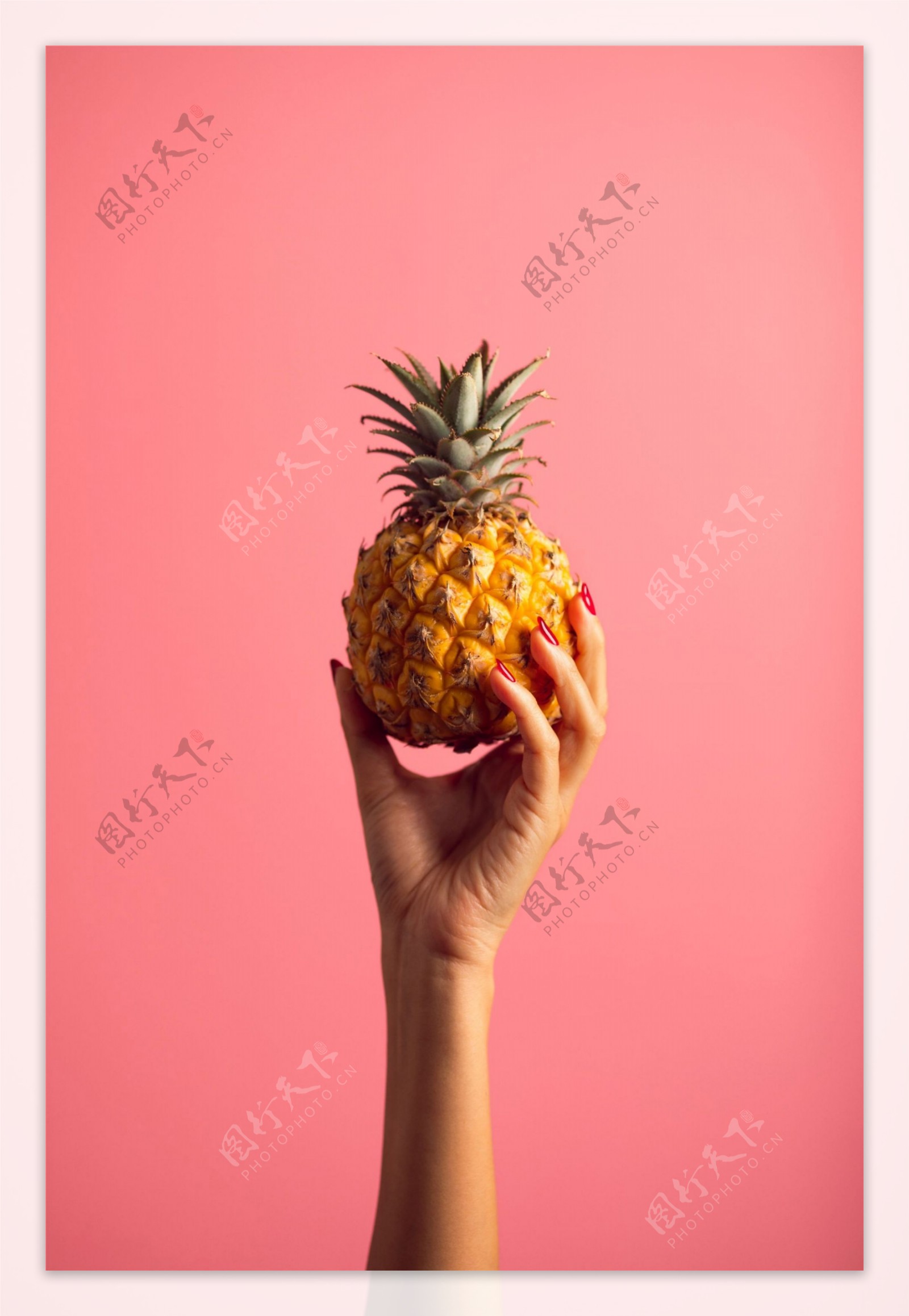 粉色背景手举菠萝