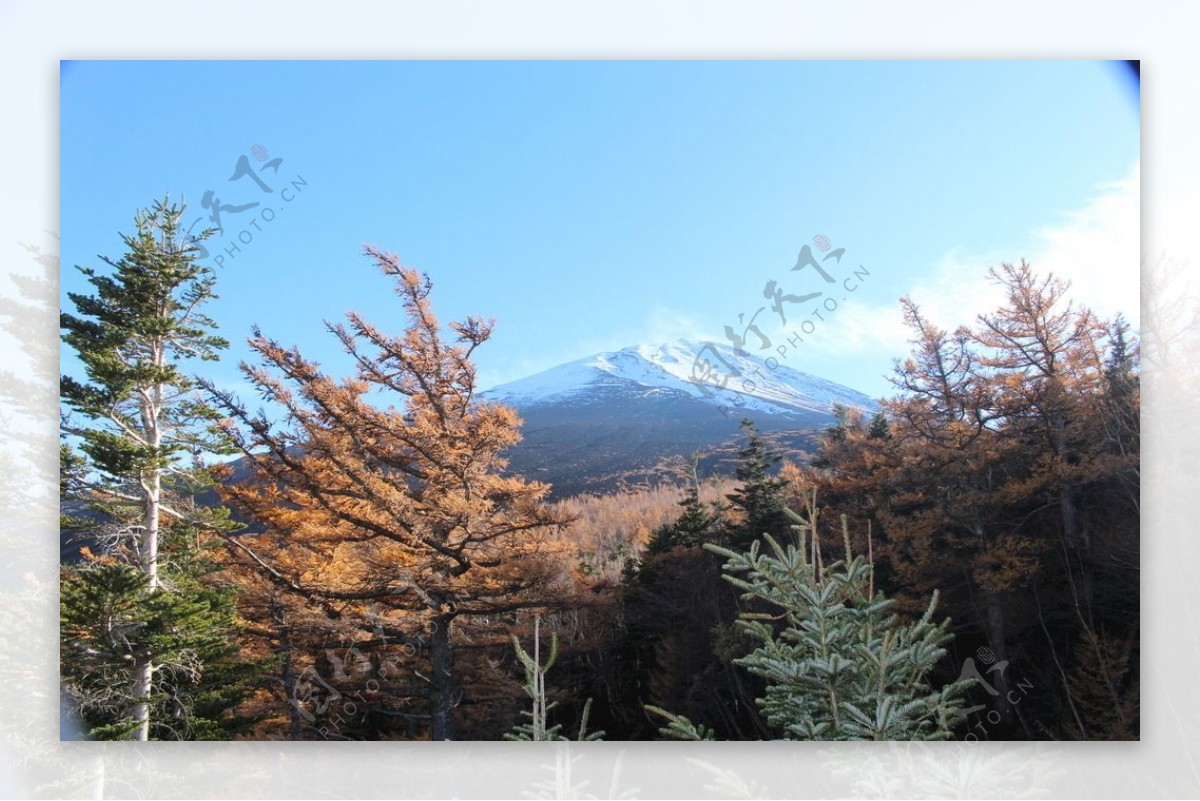 富士山