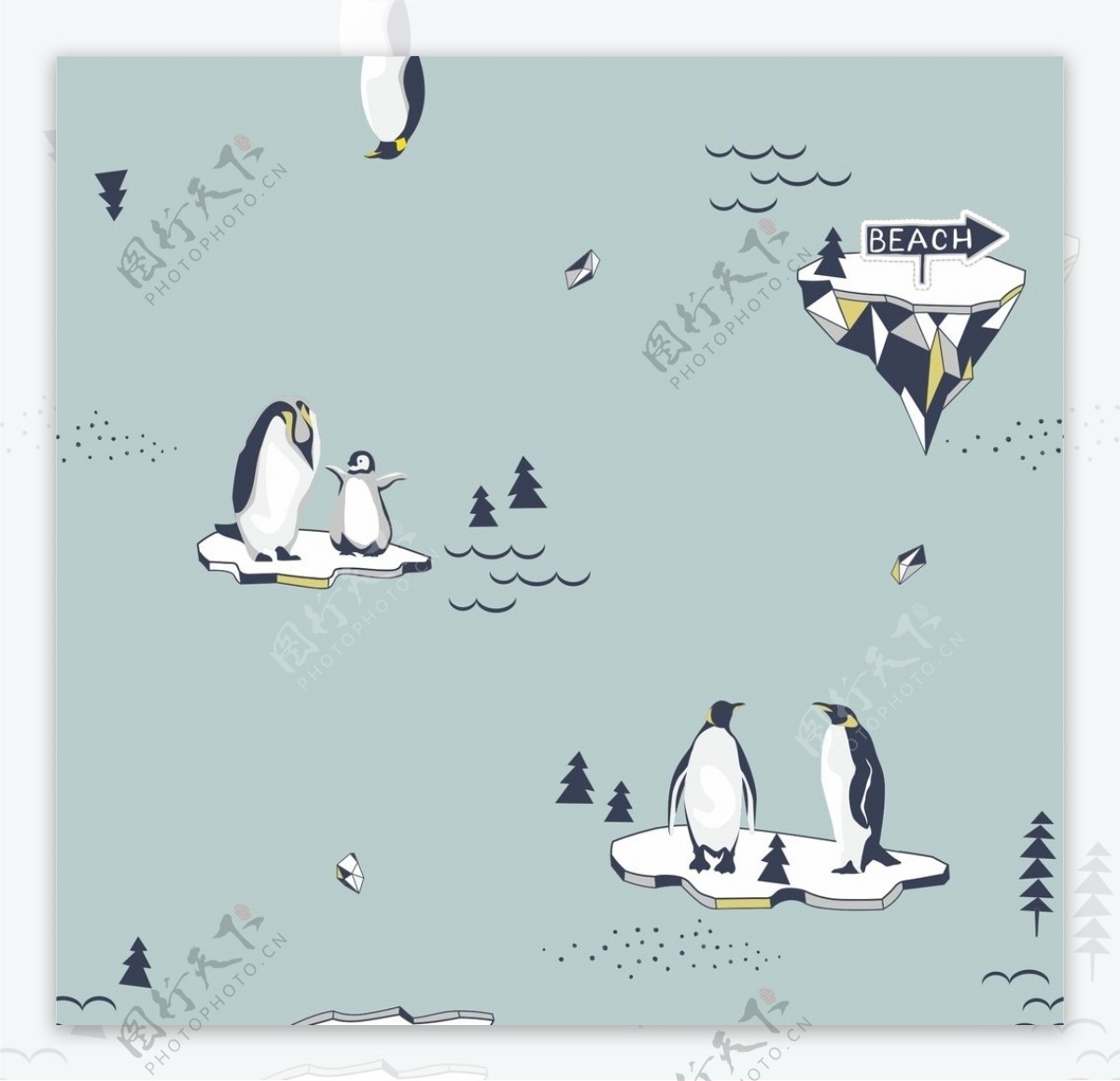 海洋企鹅海洋生物