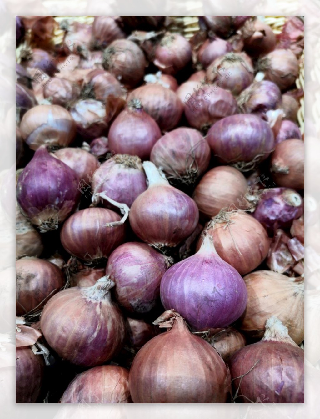 市场博物：红葱头和干葱头（毛葱），两个妙物的区别及代用|风味|拌面_新浪新闻