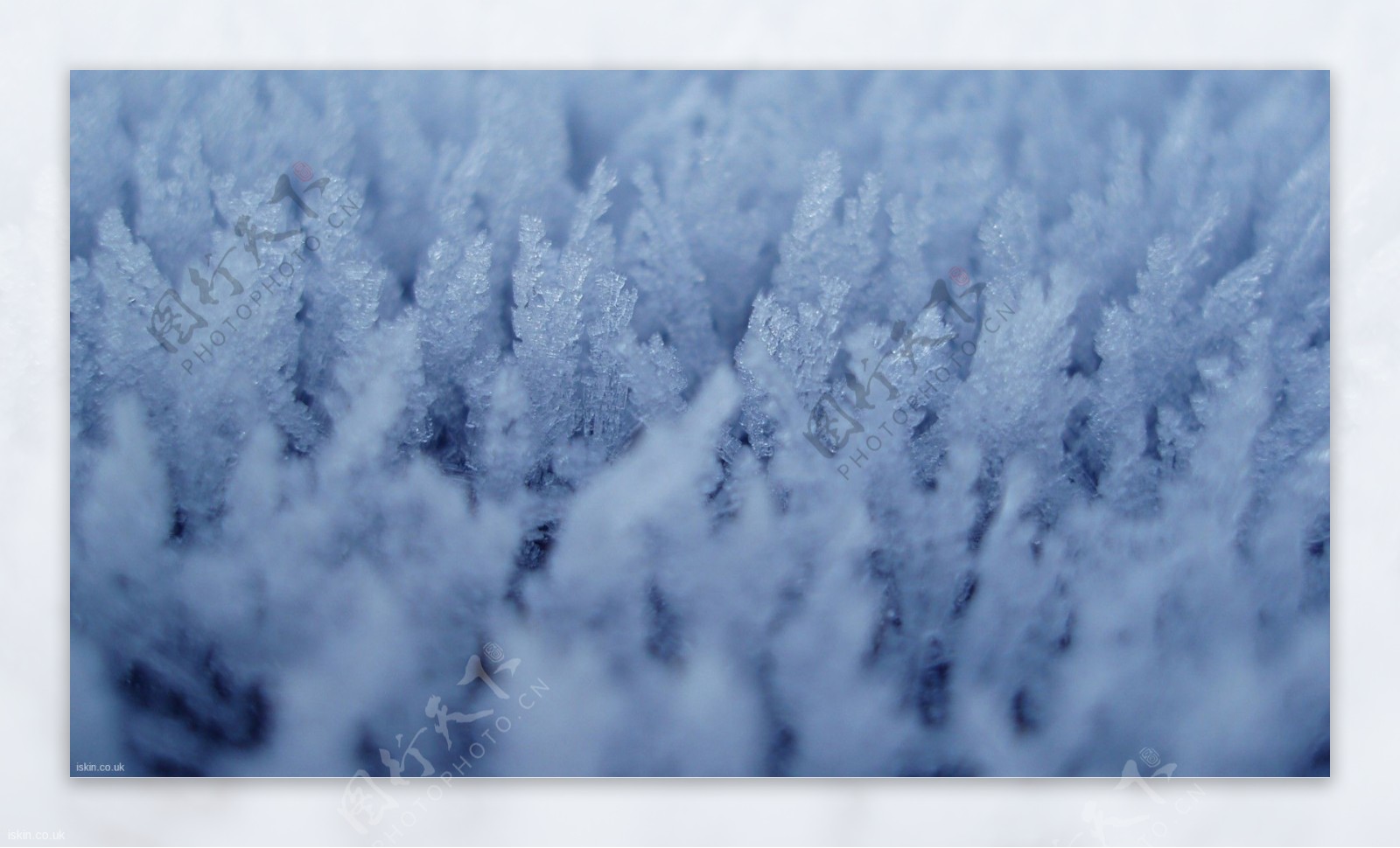 雪花高清特写