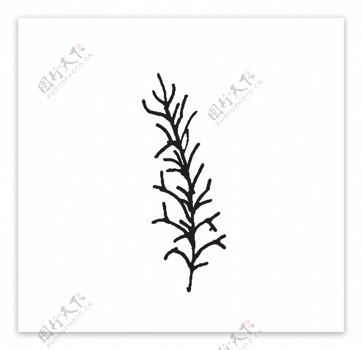 黑白涂鸦植物