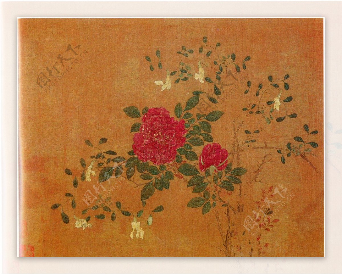 黄居寀花卉写生绘画