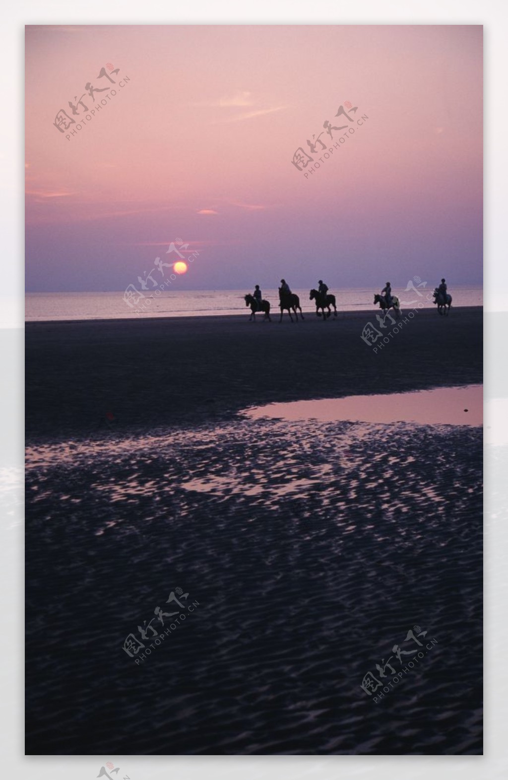 黄昏沙滩骑马