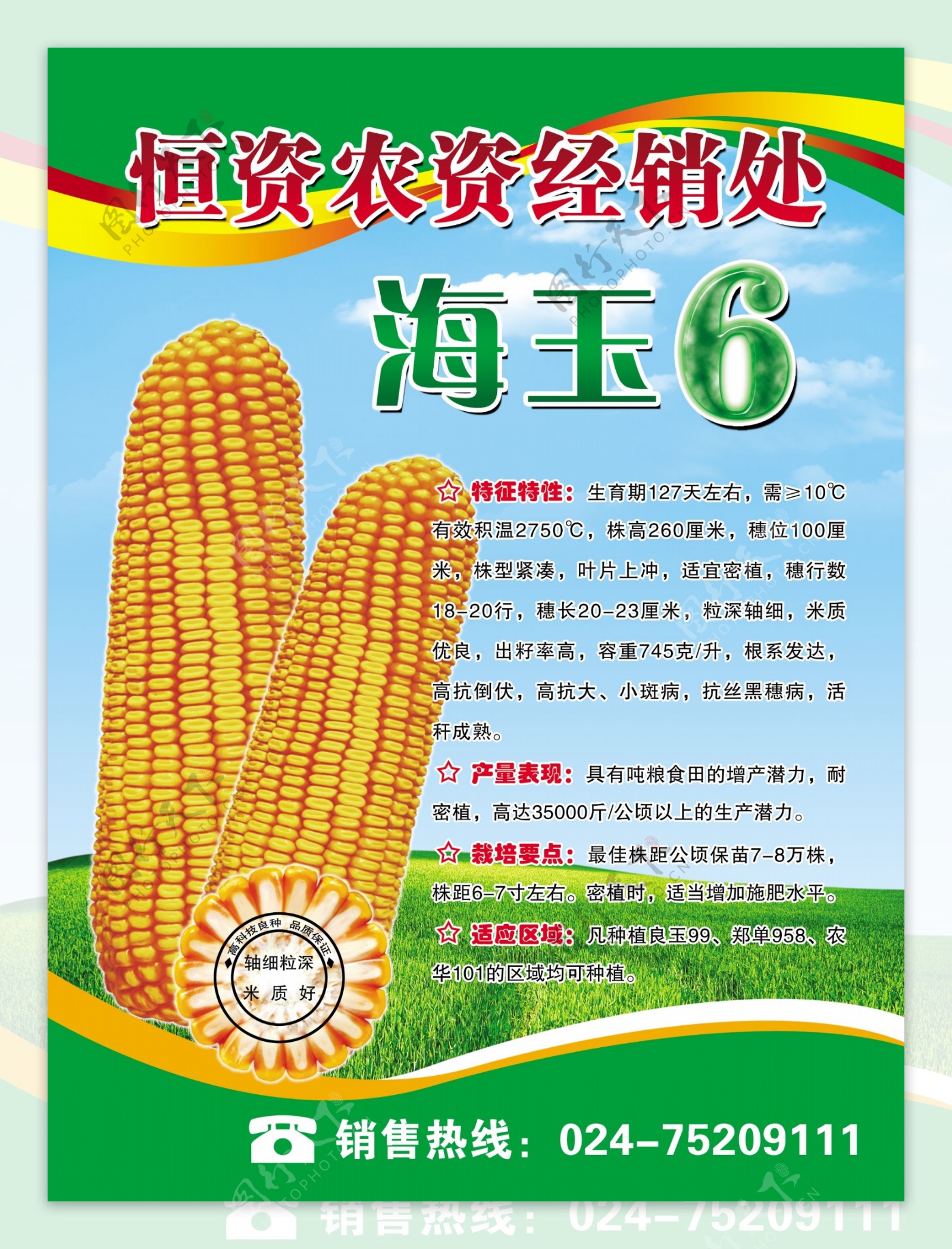 玉米种业海报