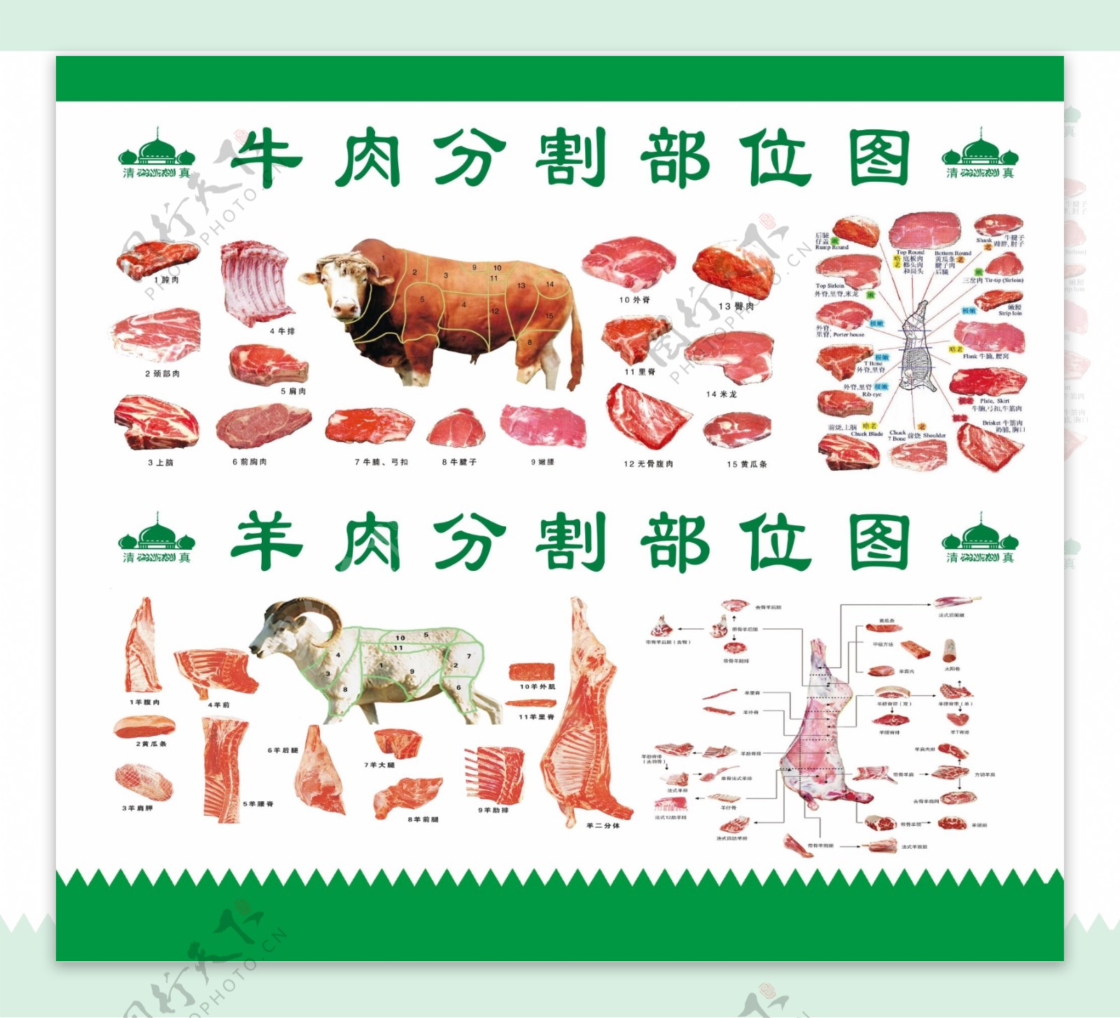 牛肉分割图羊肉分割图
