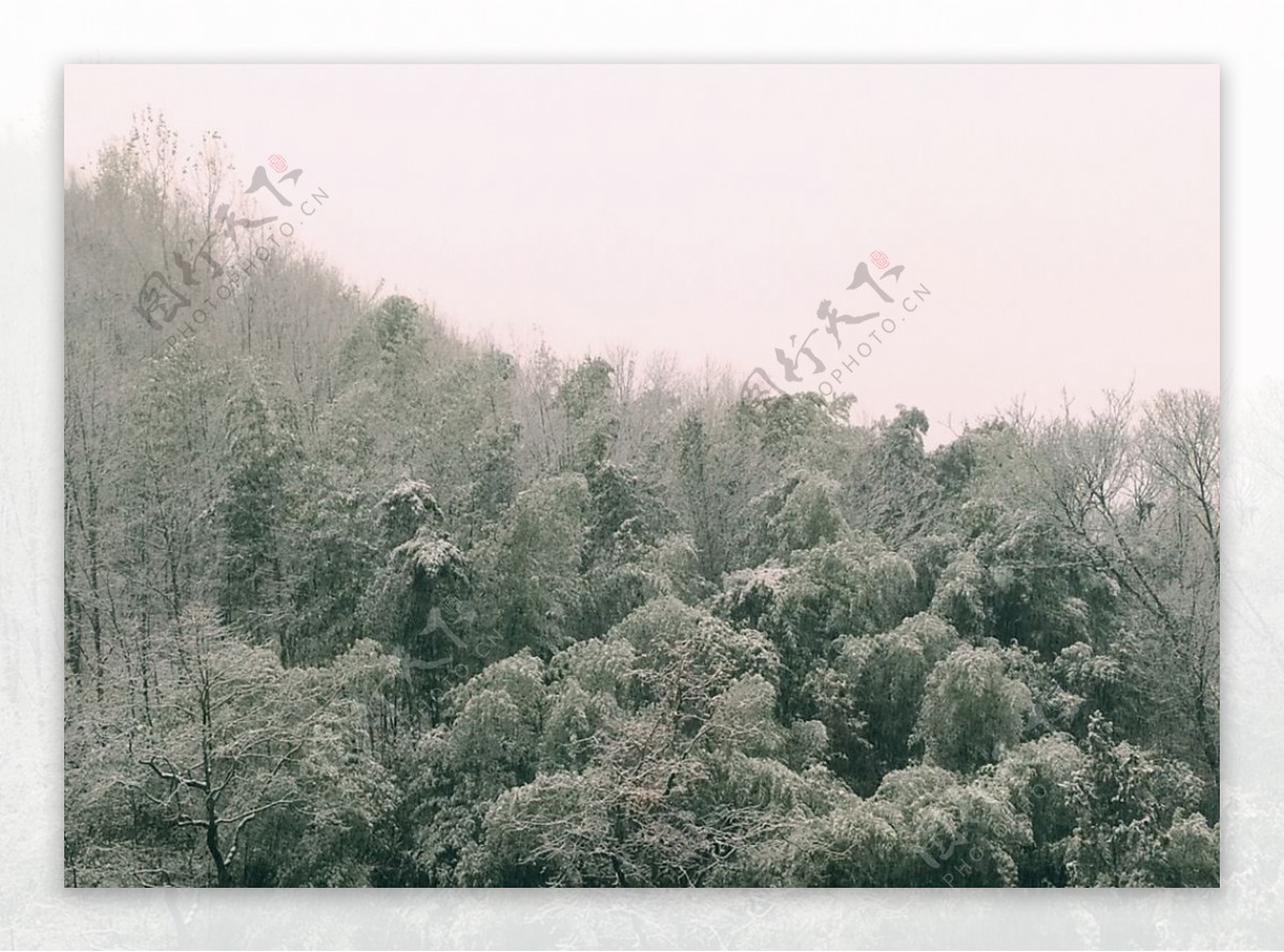 雾凇雪景