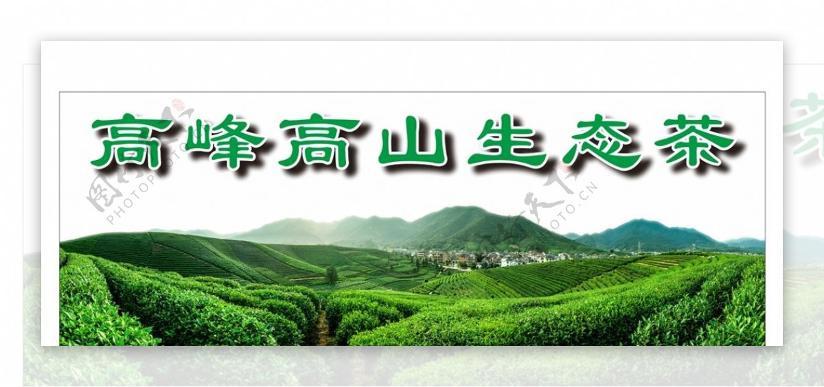 高峰高山生态茶茶叶海报