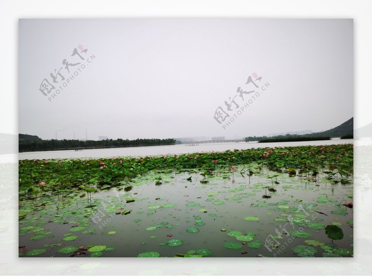 雨中湖景