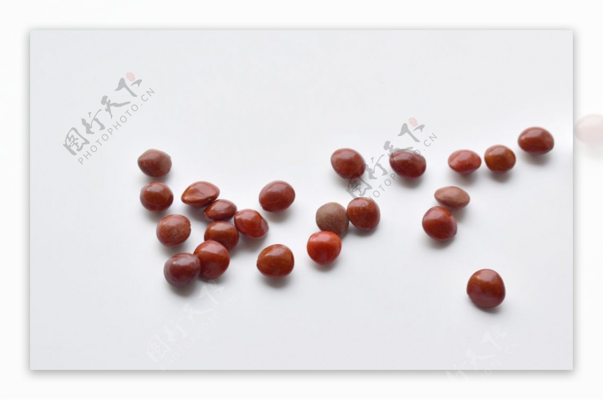 中国传统红豆