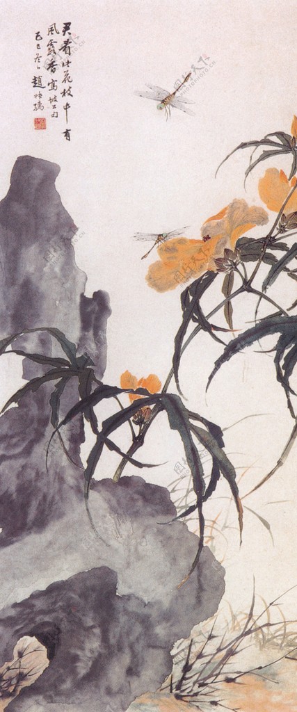 秋葵蜻蜓图