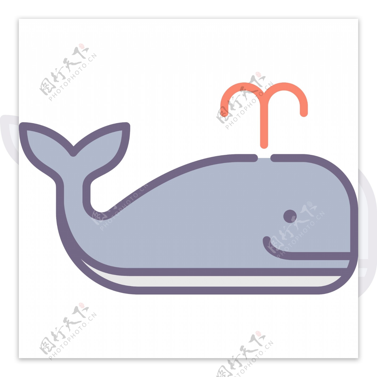 鲸鱼图片简笔画 海洋鲸鱼图片简笔画 - 第 3 - 水彩迷
