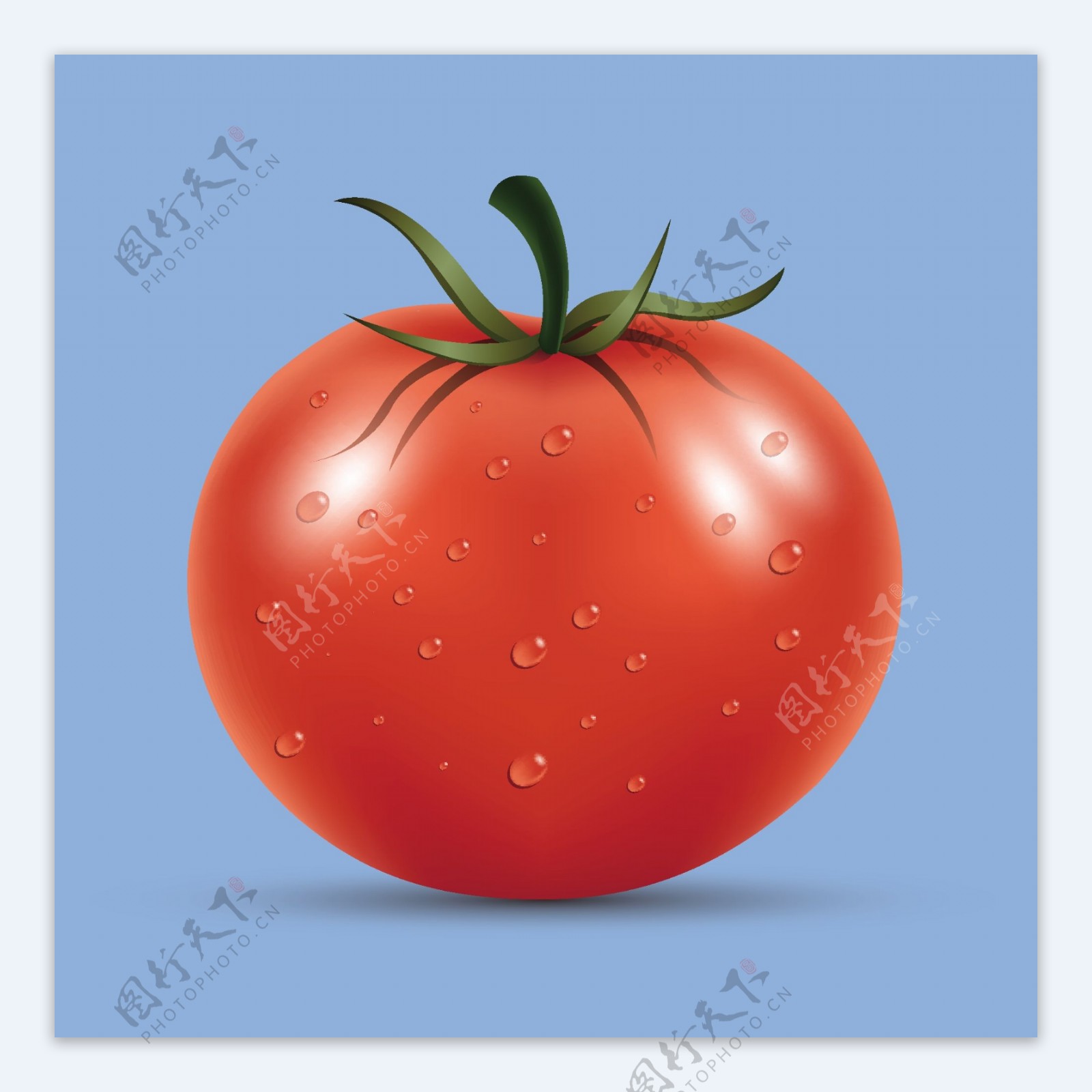 矢量西红柿番茄蔬菜高清果蔬素材