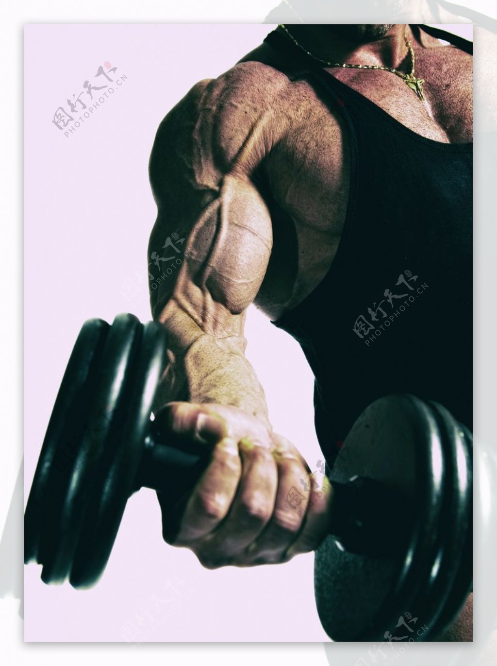 在健身房锻炼肌肉的健美男人图片下载 - 觅知网