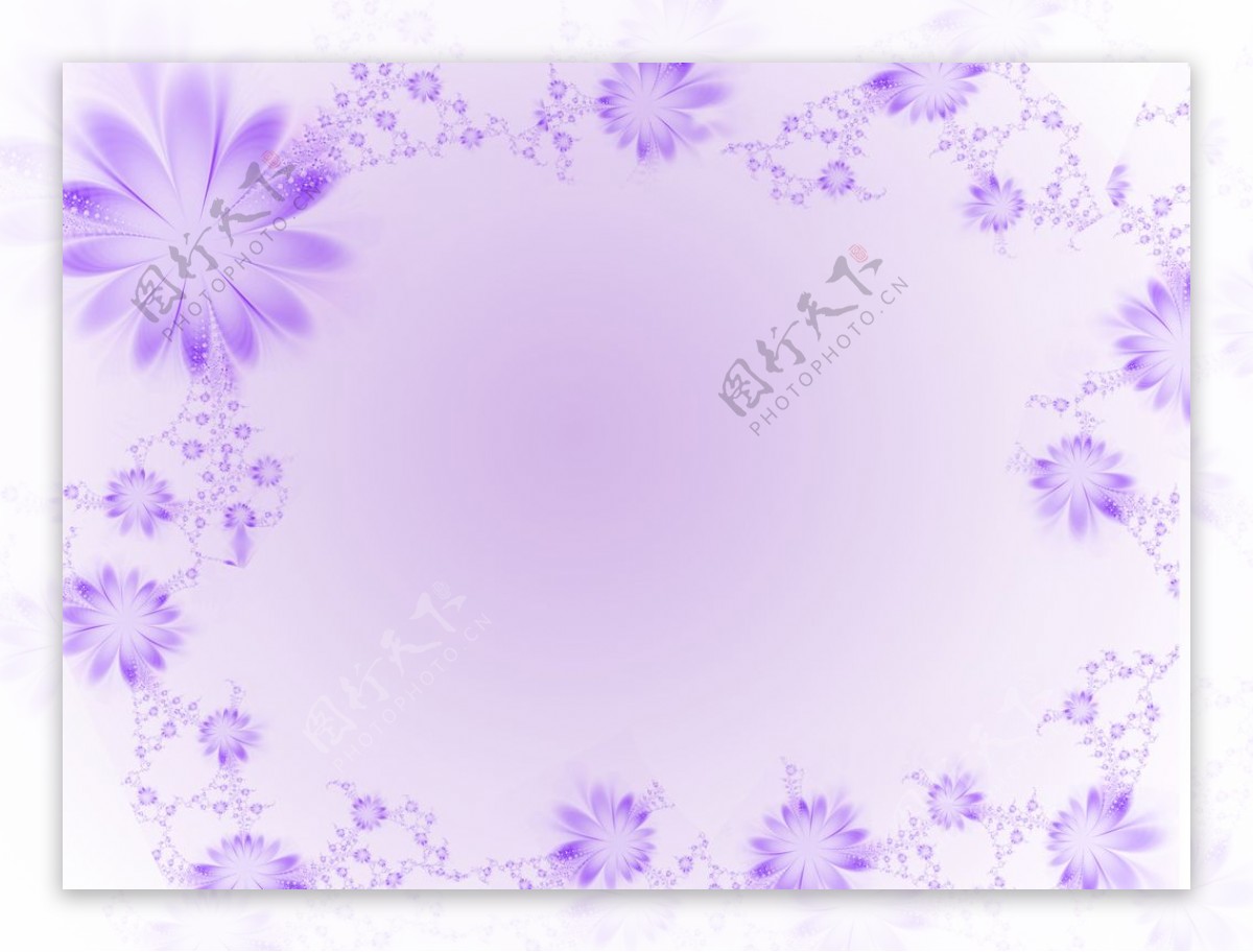 紫色花边小花